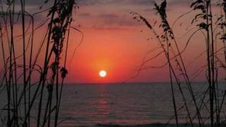 Dan Gibson - Florida Dream