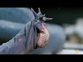 the hagfish is the slimy sea creature of your nightmares