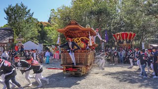 令和5年　淡路市　伊弉諾神宮春祭り　本宮　郡家里組だんじり　やりまわし、宮入り、宮出し、郡家商店街、他曳行など。