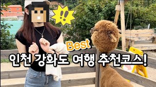 [ VLOG ]  강화도여행 | 강화루지 | 프렌쥬랜드 | 강화맛집|1박2일여행 | 여행vlog | 일상 | 여행지추천 | 서울근교 | 드라이브 |브이로그 |강아지