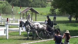 Zoltán SIPOS (HUN) - CAI-A**, H2, Ászár (Hungary), marathon driving, obst. Nr. 3, 08.08.2020