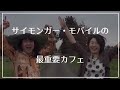 サイモンガー・モバイルの最重要カフェ 184 20241116 go livecast korg gadget