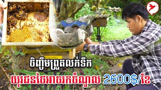 ចិញ្ចឹមព្រួតលក់ទឹក យុវជនថៃអាចរកចំណូល 2600$ខែ | កម្មវិធីកសិកម្ម