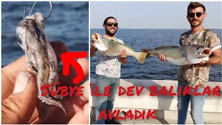 GRANYÖZ BALIĞI NASIL TUTULUR TAKTİKLER BİLGİLER VİDEODA!!!#jewfish #mulloway #corvina