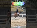 dk horse 김성현 선수 u0026 다이아몬드폴즈 모비이콰인 d class 시합전 제40회 대통령기 마장마술 y♡u 당신이 주인공 승마 horse riding