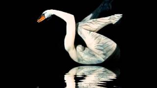 Leda and the Swan | WB Yeats | Tom Hiddleston