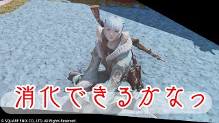 【FF14】消化だー！【湯川薫】