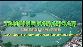 TANGISE SARANGAN | sarangan sing dadi saksi | kroncong version #sjrcf22s #drone #kroncong #musicjawa