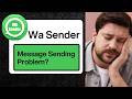 Wa Sender Message Not Sending? Fix All Errors | Latest Update & Bug Fix