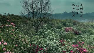 花树得晴红欲染，远山过雨青如滴 | 一日一诗一景