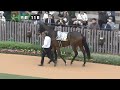 【競馬】2024年 アンドロメダステークス l 【デシエルト 岩田康誠】