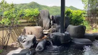 露天風呂｢石庭の湯｣