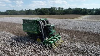 Cotton Ginning Season