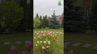 4 РАЗНЫХ сада по 6 СОТОК уже на нашем канале! #ландшафтныйдизайн #design #youtubeshorts #garden