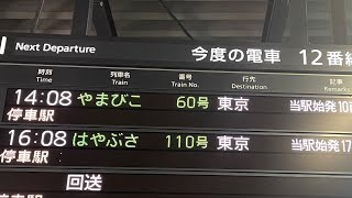 東北新幹線 やまびこ60号 東京行 盛岡-東京間 走行動画