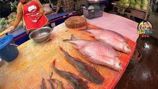 ตลาดลาว ปลาน้ำโขง ราคาถืก บ่าวเต๋อเลาะเซาะแซบ