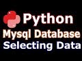 Python Mysql Database Selecting Data #29