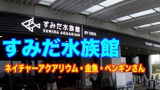 【すみだ水族館】へ行ってきました。ADA水槽・江戸リウム・ペンギン・クラゲ