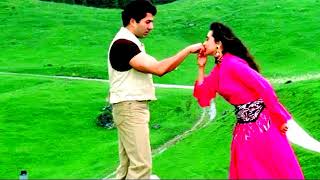 Tu Dharti Pe Chaahe Jahan Bhi Rahegi ((( Jhankar ))) HD, Jeet (1996)Sunny Deol,Karisma Kapoor