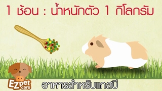 EZ pet care [by Mahidol]  อาหารสำหรับแกสบี