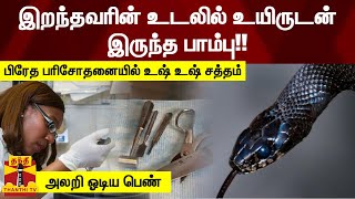 இறந்தவரின் தொடையில் உயிருடன் இருந்த பாம்பு - பிரேத பரிசோதனையில் உஷ்.. உஷ்.. சத்தம் -  அலறி ஓடிய பெண்