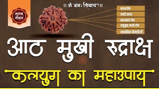 8 Mukhi Nepali Rudraksha | 8 मुखी नेपाली रुद्राक्ष | 8 Face Nepali Rudraksham |