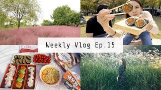 Weekly Vlog Ep.15| 夢幻粉紅芒草, 庭院市集咖啡聽, 悠閒野餐約會 | OopsAnnieNini