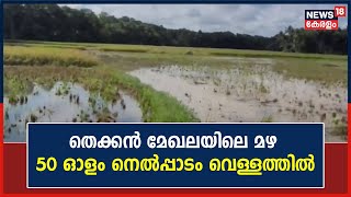 കർഷകരെ ആശങ്കയിലാഴ്ത്തി തെക്കൻ മേഖലയിലെ മഴ ;50 ഓളം നെൽപ്പാടം വെള്ളത്തിൽ |Thiruvananthapuram