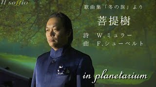 F.シューベルト：歌曲集「冬の旅」より《菩提樹》　~in planetarium~