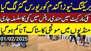 Today Wheat price in punjab//گندم کا ریٹ 2025/munji makki till sarso/Galla mandi rate today