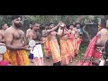 അയ്യപ്പൻ വിളക്ക് പാലക്കൊമ്പ് എഴുന്നള്ളിപ്പ് ayyappa ayyappan ayyappaswamy ayyappaswamytemple