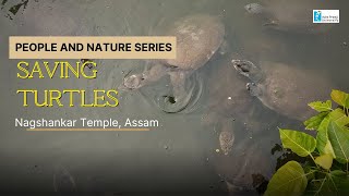 People \u0026 Nature: Saving Turtles at Nagshankar Temple, Assam