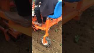 Vegetable seeding transplanter with rotary tiller