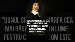 Lecții despre Viață ale lui DESCARTES pe care Oamenii le Învață Prea Târziu  - 2