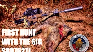 FIRST BOAR HUNT WITH THE SIG SUPPRESSOR SRD762TI