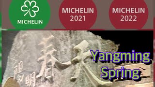 Yangming Spring Creative Vegetarian Cuisine ONE Michelin Star Michelin Green 陽明春天 米芝蓮一星