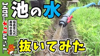 サイフォンによるため池落水デモンストレーション（山田ため池）