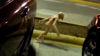 Cryptids That Were Caught On Camera