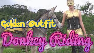 Majestic Donkey Riding in Stunning Golden Outfit! #Donkey #donkeyriding #reiten #reiten #eselreiten