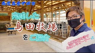 新築牛舎へ視察に行ってみました！《島田牧場様》