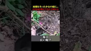 両親を失った少女の庭に...震える小さな命が教えてくれた大切なこと #動物 #感動