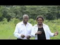 Jehovah Anotipa Chisepe - Hymn 38