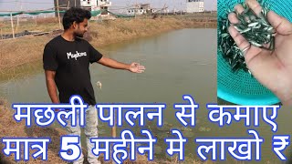 मछली पालन से कमाए मात्र 5 महीने में लाखो ₹/// MUPKINO FISH FARM PATNA NEW BUS STAND