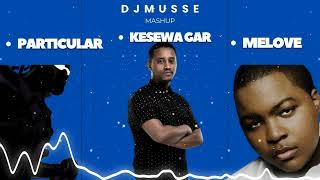 DJ Musse FT Henok Abebe \u0026 Major lazer \u0026 Sean Kingston (Kesewa gar, Particular,Me Love Mushup