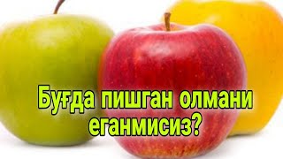 Arzon muolaja | Олманинг шифобахши хусусиятлари | Olmaning zararli tomoni |