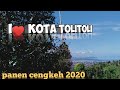 Panen cengkeh di Tolitoli,2020