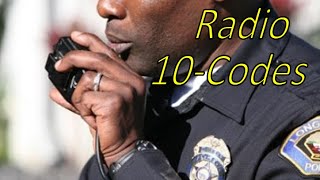#36 Police/Animal Control 10-Codes