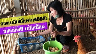 เลี้ยงไก่ไข่400ตัวขายไข่ได้เงิน1,000-1,200บาทเลี้ยงวัวชีวิตไม่มีหนี้สิน/feeding chickens