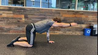 Quadruped Shoulder Flexion