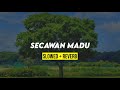 secawan madu slowed reverb